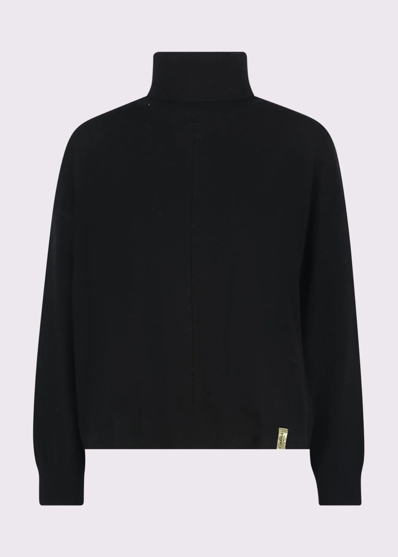 Gaudi' Women's Turtleneck Sweater